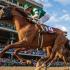 Breedersâ€™ Cup